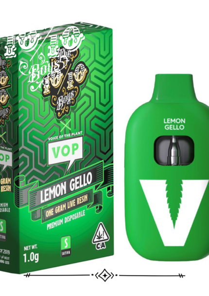 1010boys VOP Lemon Gello