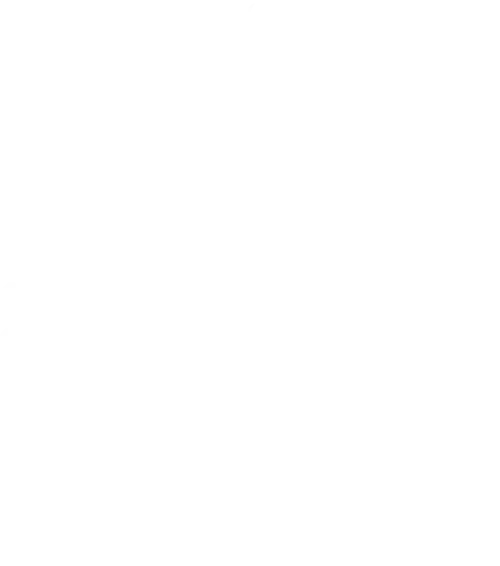 the 1010boys logo